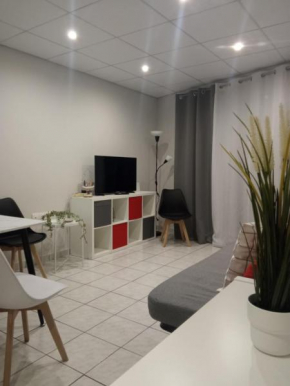 Minimal Central Apartment